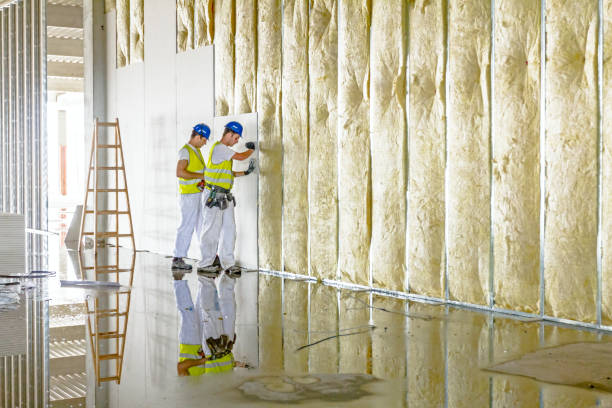 Best Insulation Maintenance and Repair in East Vineland, NJ